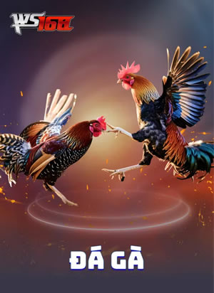 Cá Cược Quần Vợt Tỷ Lộc